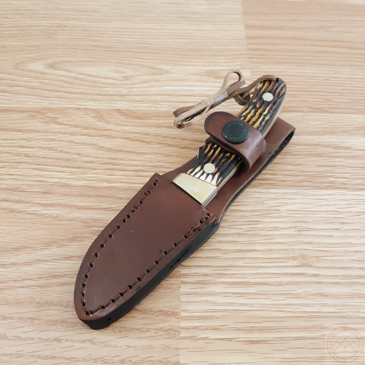 Schrade Hunter Fixed Knife 2.75" 7Cr17MoV Steel Full Tang Blade Staglon Handle