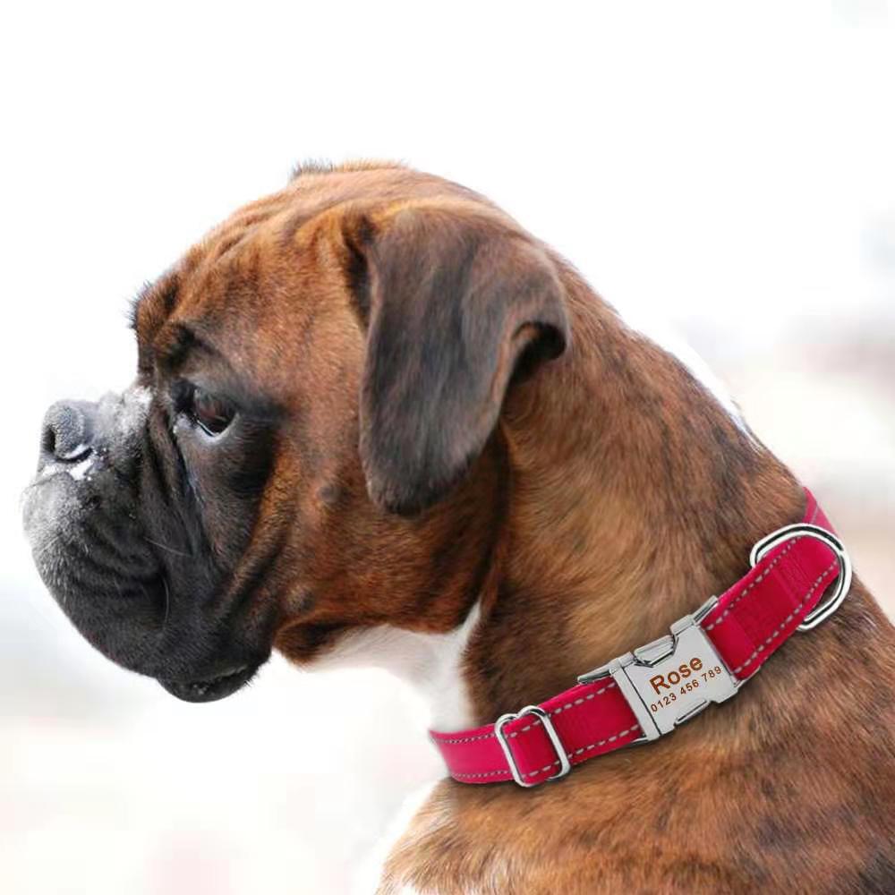 Personalized Nylon dog collar engraved custom ID Tag Name / Number reflective