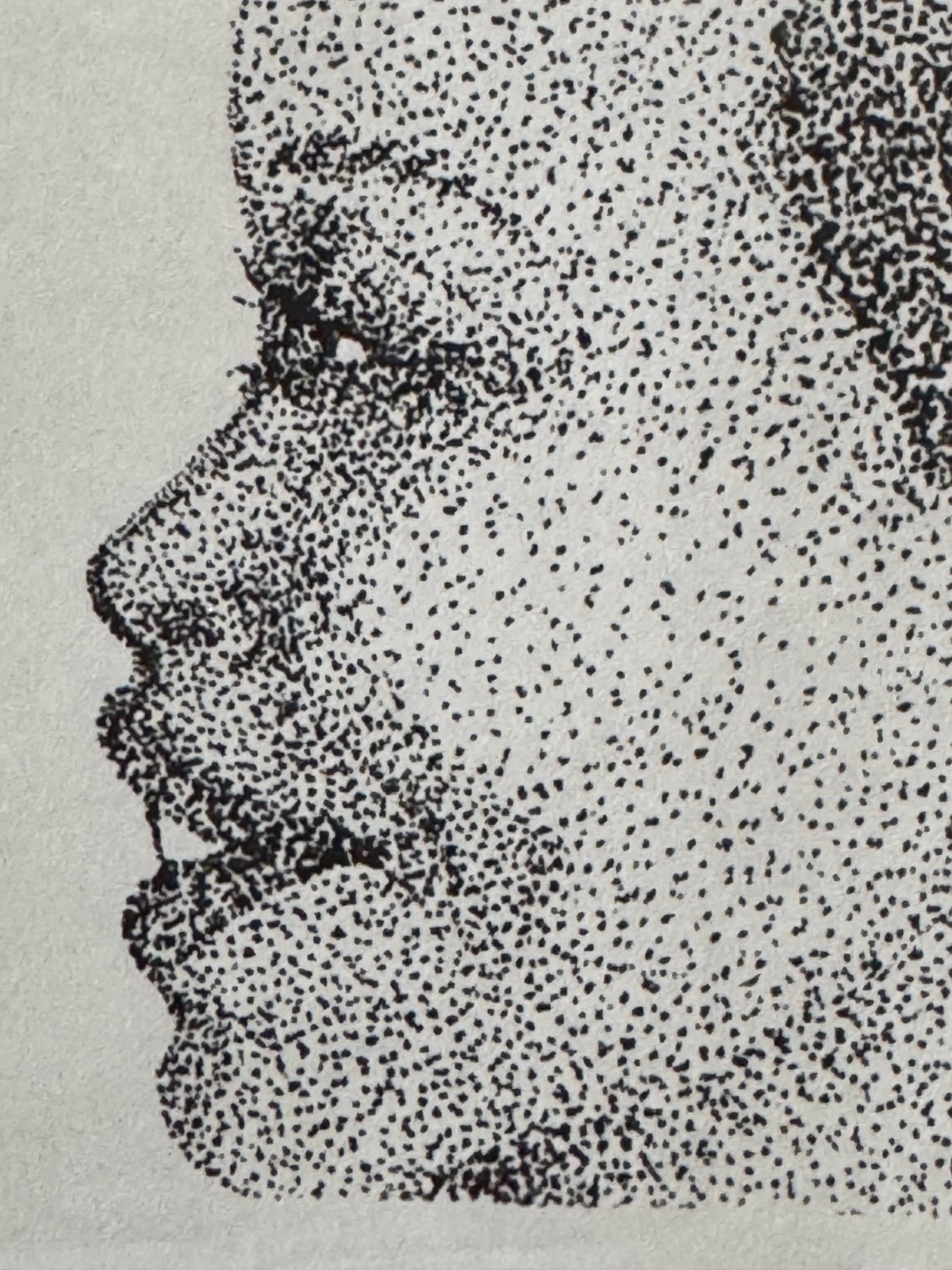 Original Pointillism Young African-American Woman Pen Portrait Drawing 8.5"x11"