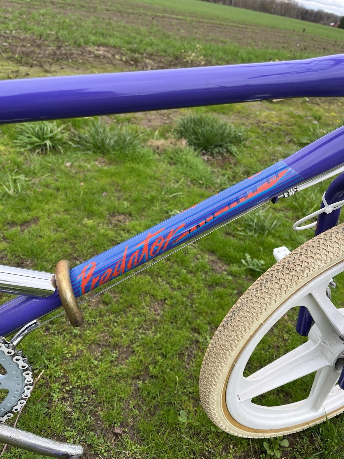 1987 schwinn predator free form ex Old School Bmx Freestyle GT Skyway Ame Resto