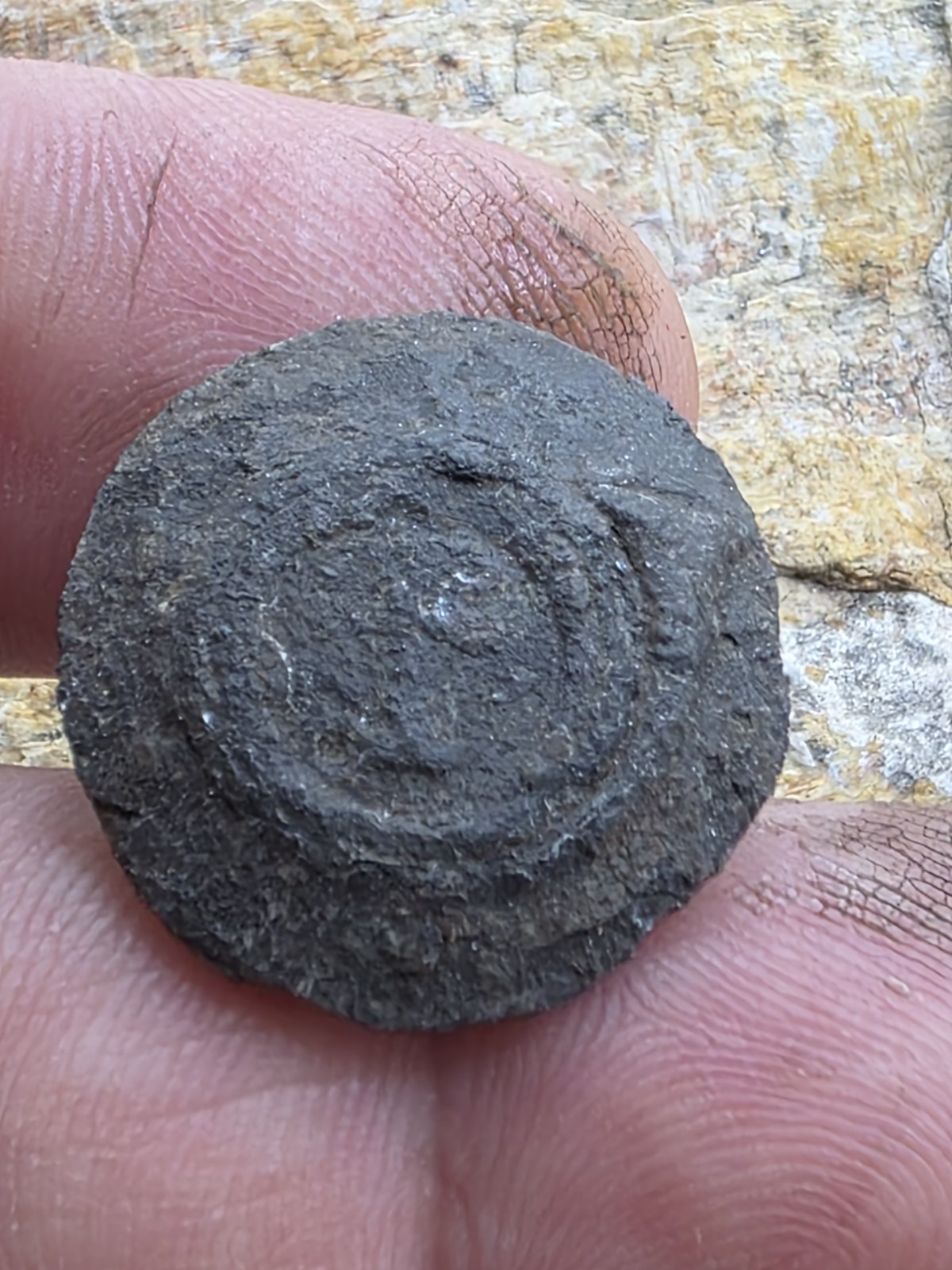 Mexico Spanish Colonial Military Button Pewter, Dug In Fuerte De Los Remedios