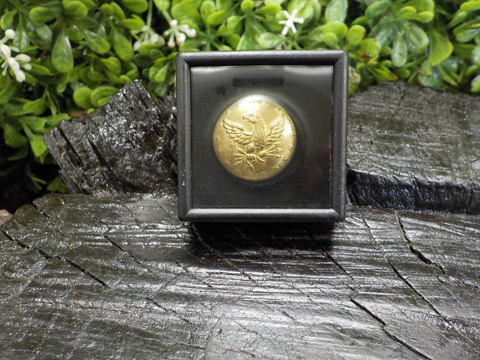 Old Rare Vintage Antique Relic Pre Civil War Militia Officers Coat Button w/Gold