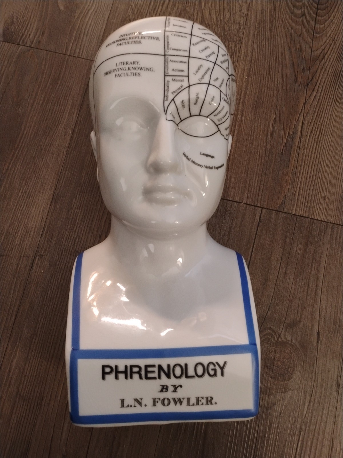Phrenology Bust L.N. Fowler Scientific Psychology 12" Bank Ceramic Head