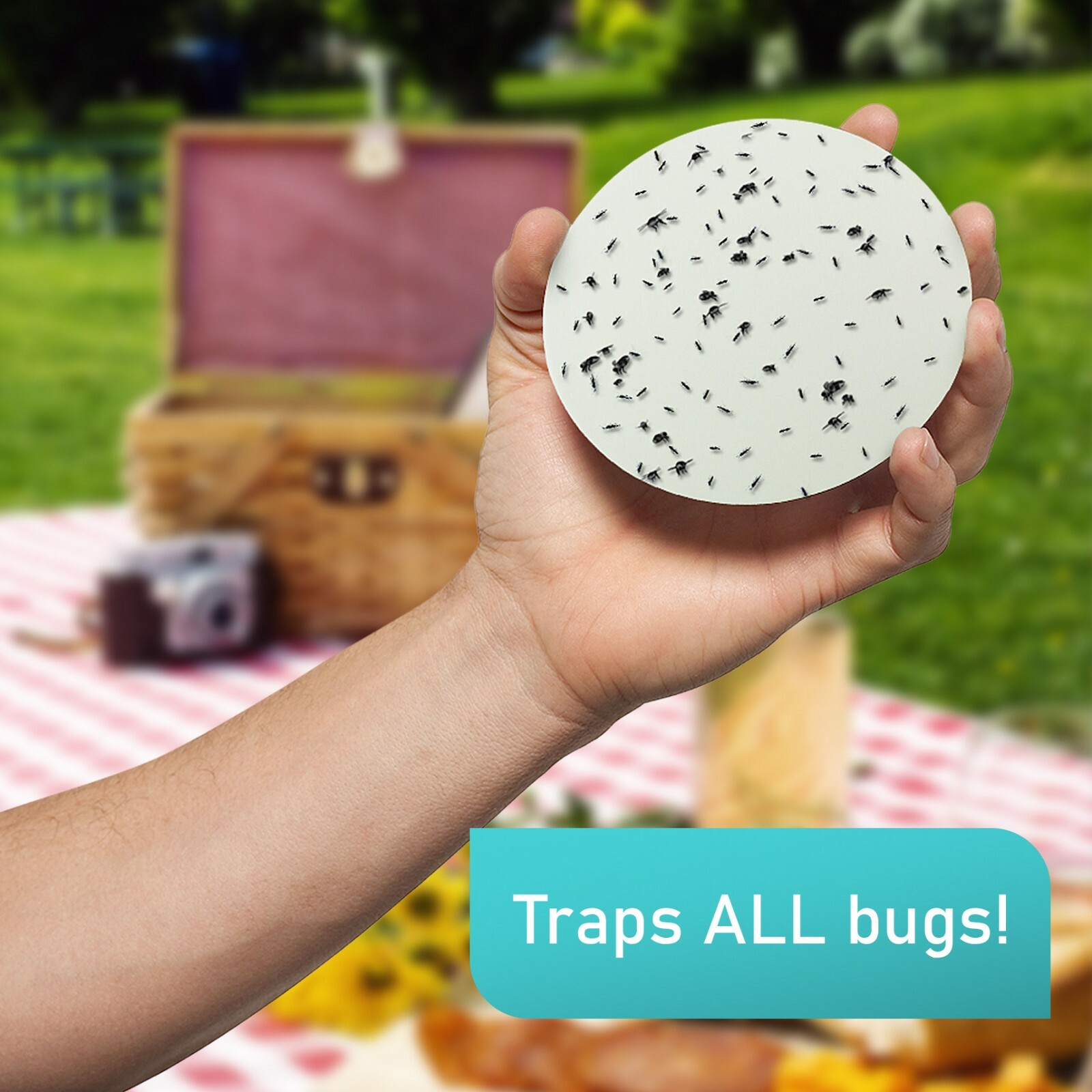 SafeAMP Glue Boards Refill Compatible With KATCHY® and FENUM® Indoor Insect Trap