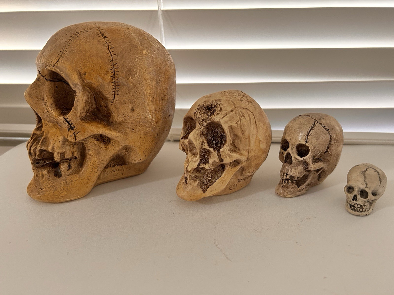 4 EA RANDOTTI ORIGINAL SKULLS LARGE, VOO DOO, PIXIE & SMALL SKULL ALL STILL GLOW