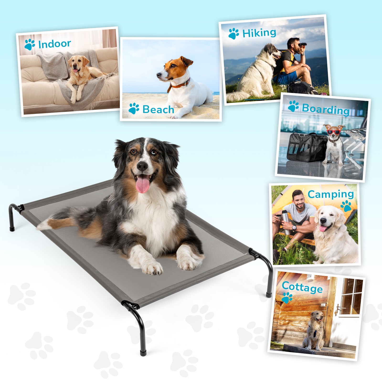 50" Chewproof Elevated Dog Bed Sleep Outdoor Raised Pet Cot Durable Steel Frame