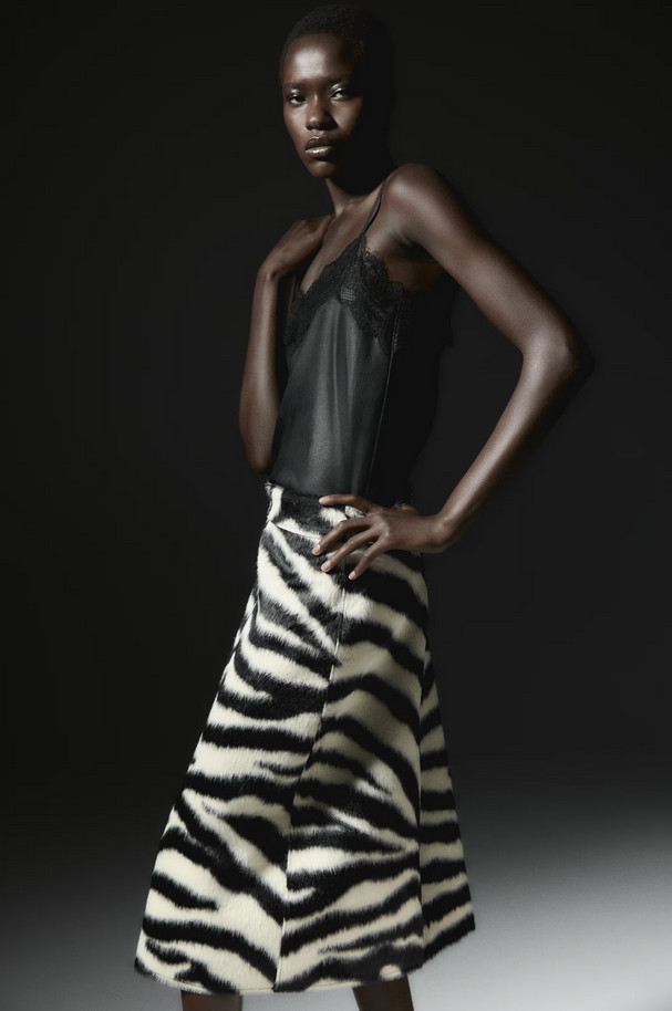 H&M Zip-Front Skirt (Black/Zebra print)