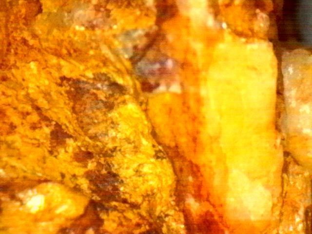 Gold Ore Specimen /Quality Visible Gold