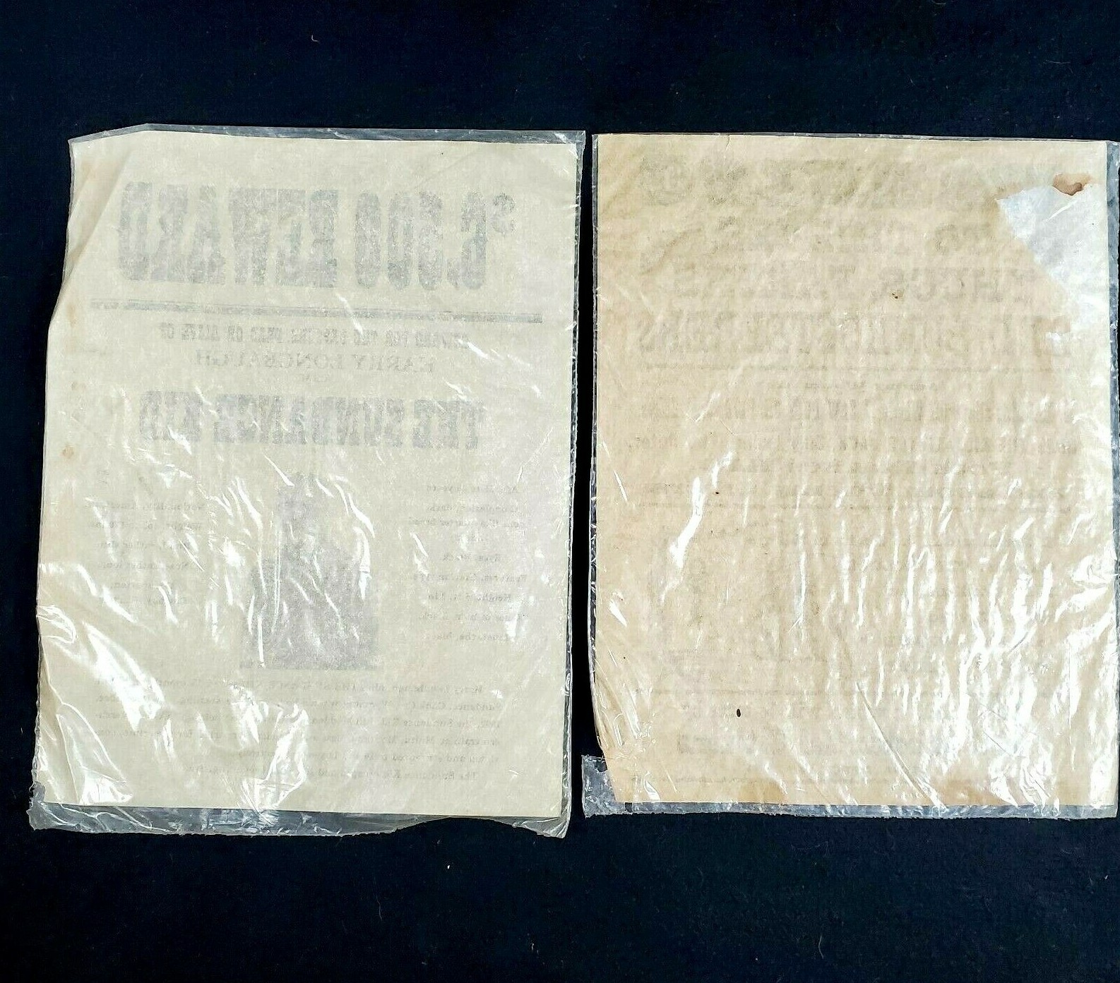 Sundance Kid Wanted Poster and Warning to Thieves Poster Reproductions