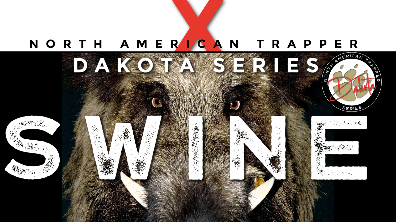 4 PACK of 1/8" Loaded BOAR / HOG Trapping Snares ~ 84" w/ Dakotaline 1/8" Lock