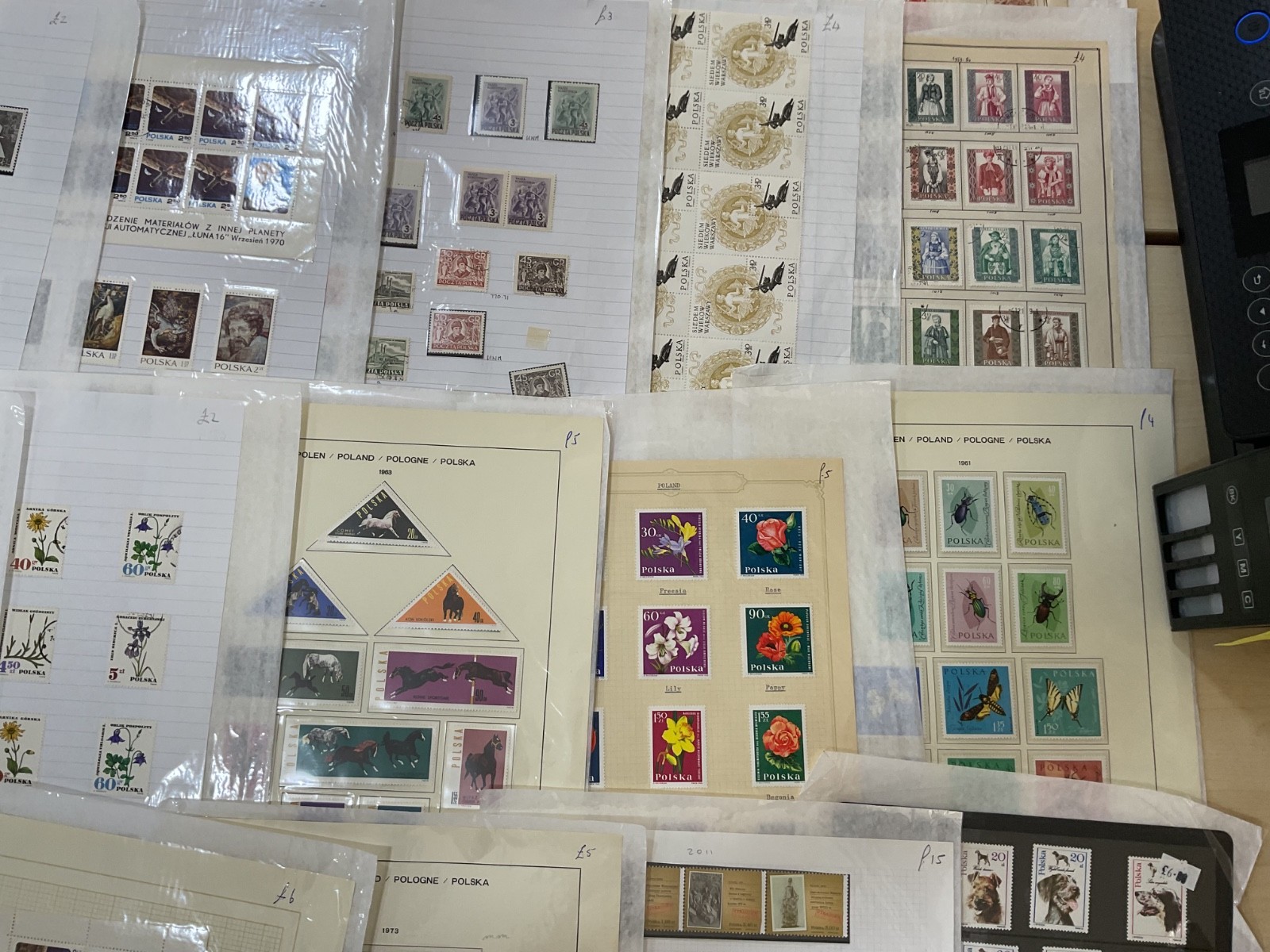 Poland stamps. Ex dealer leaves. Mint/Used. Vintage to modern 1.8kg G118