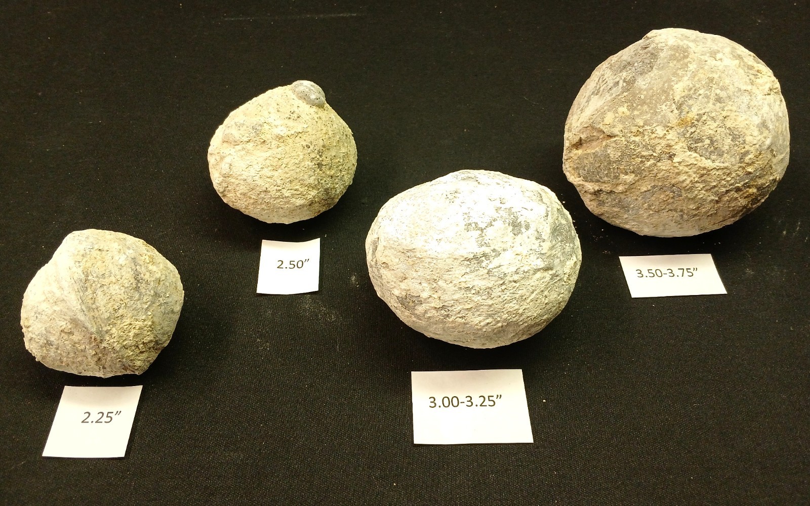 Whole Guaranteed Hollow Utah Dugway Quartz Agate Geode Thundereggs, Fluorescent!