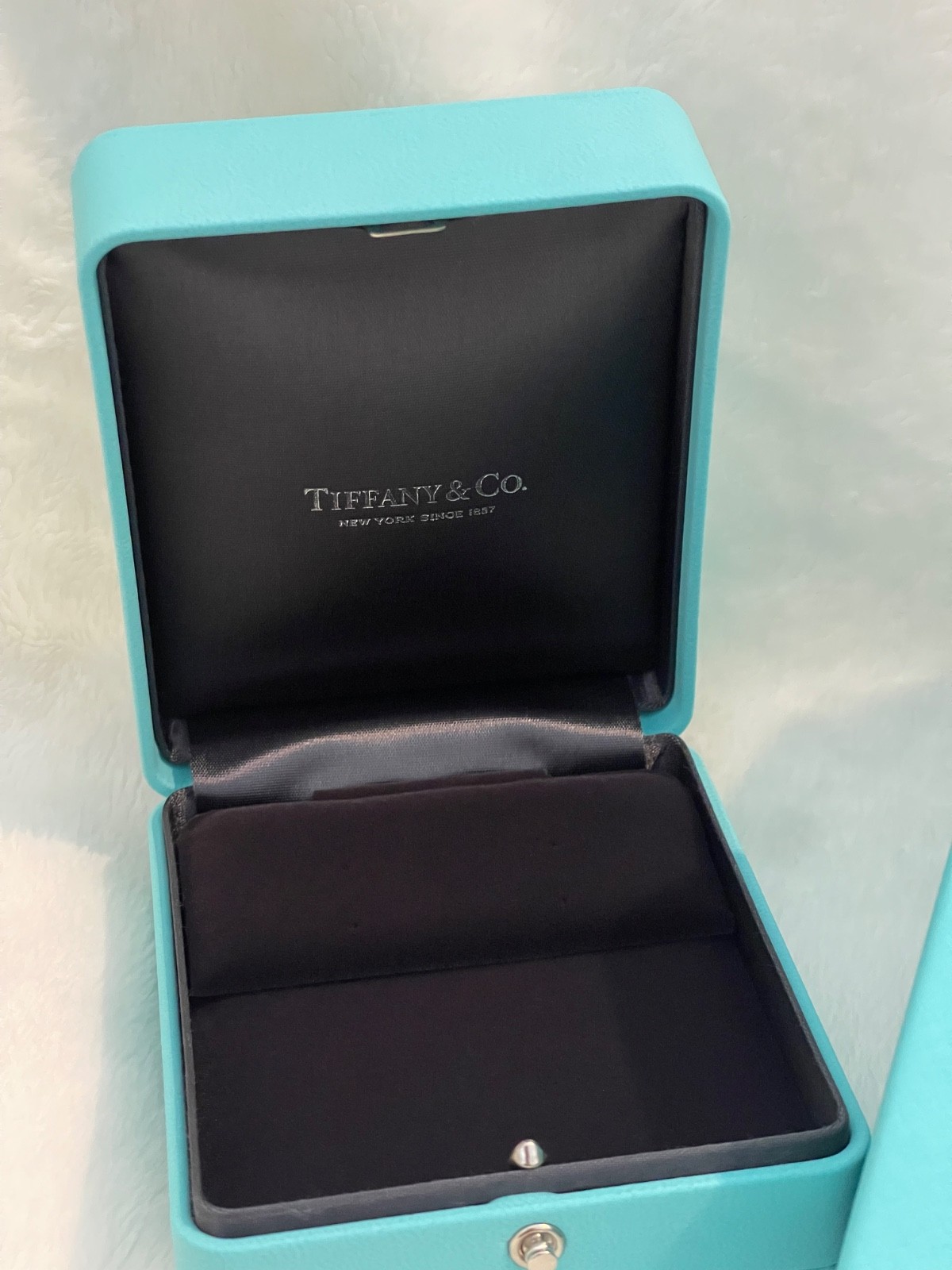 NEW Tiffany & Co Blue Earrings Case and Outer Box