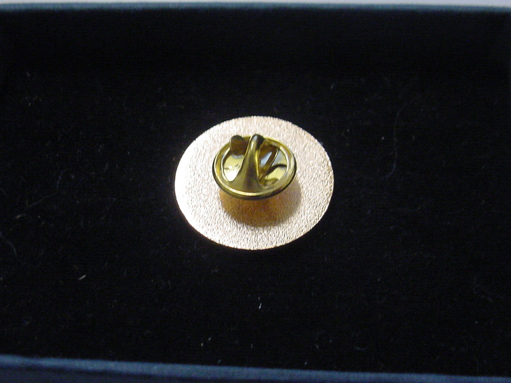 new department of energy DOE lapel pin