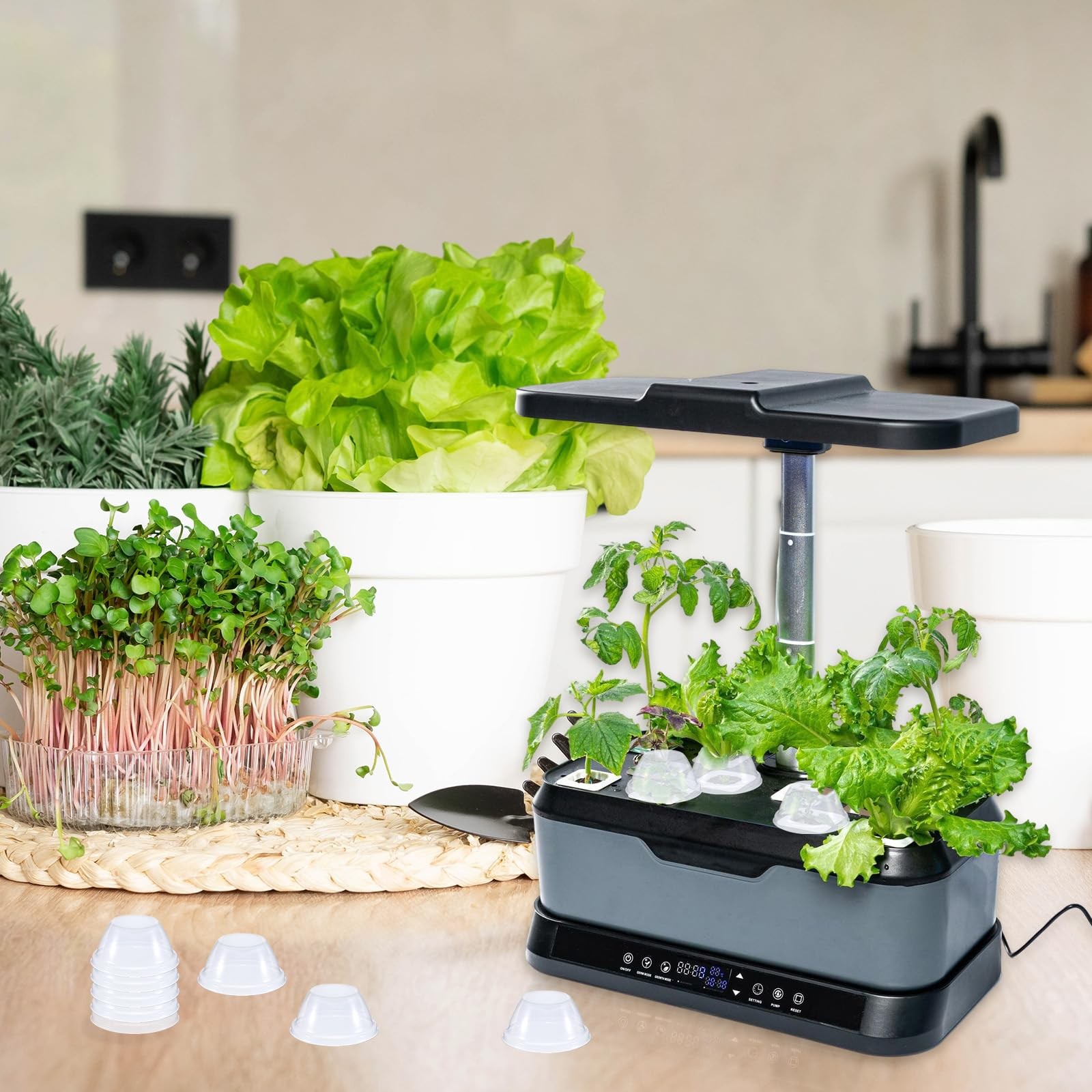 50 Pcs Humidity Domes for Plants Outer Diameter 4.7 cm/1.85 inch transparent