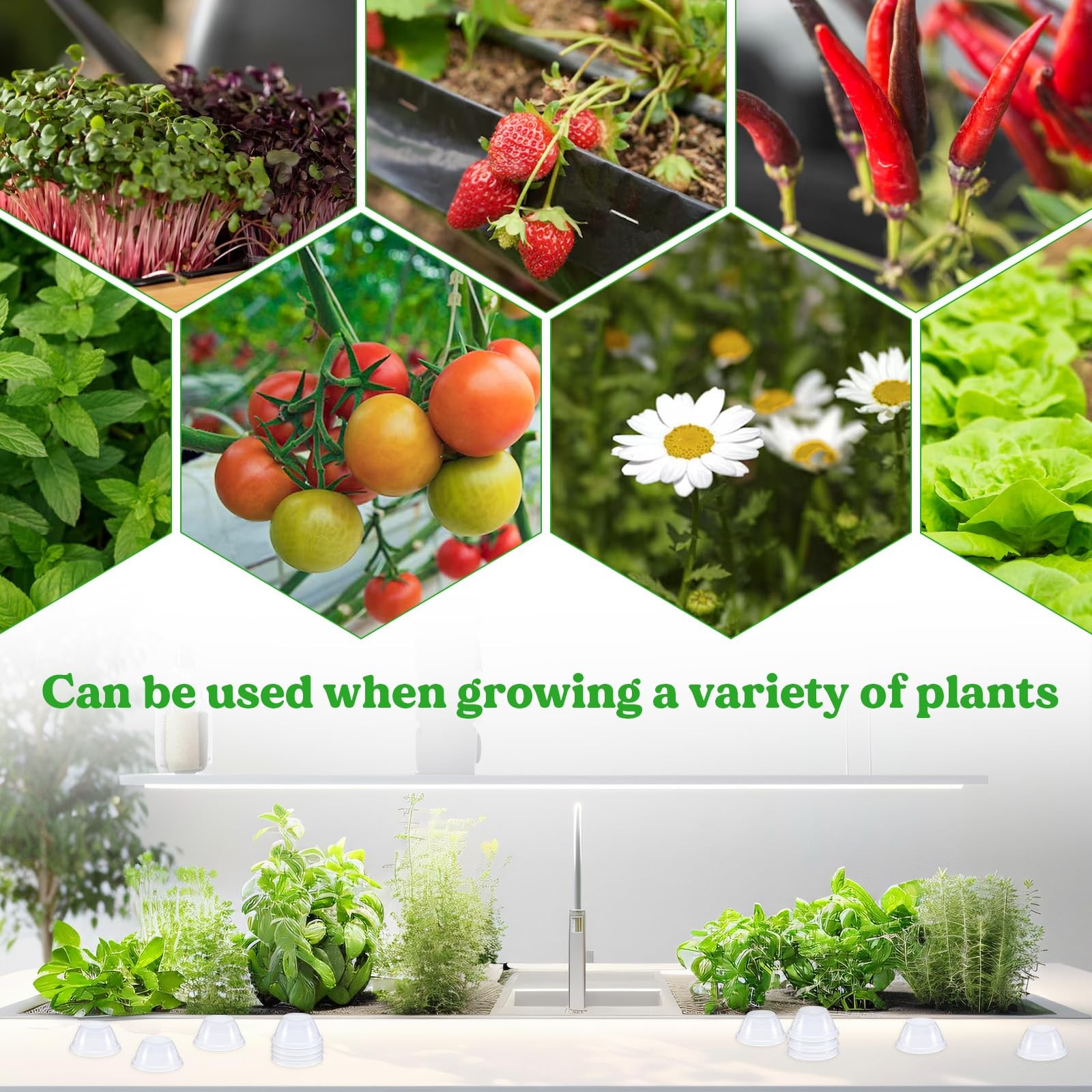 50 Pcs Humidity Domes for Plants Outer Diameter 4.7 cm/1.85 inch transparent