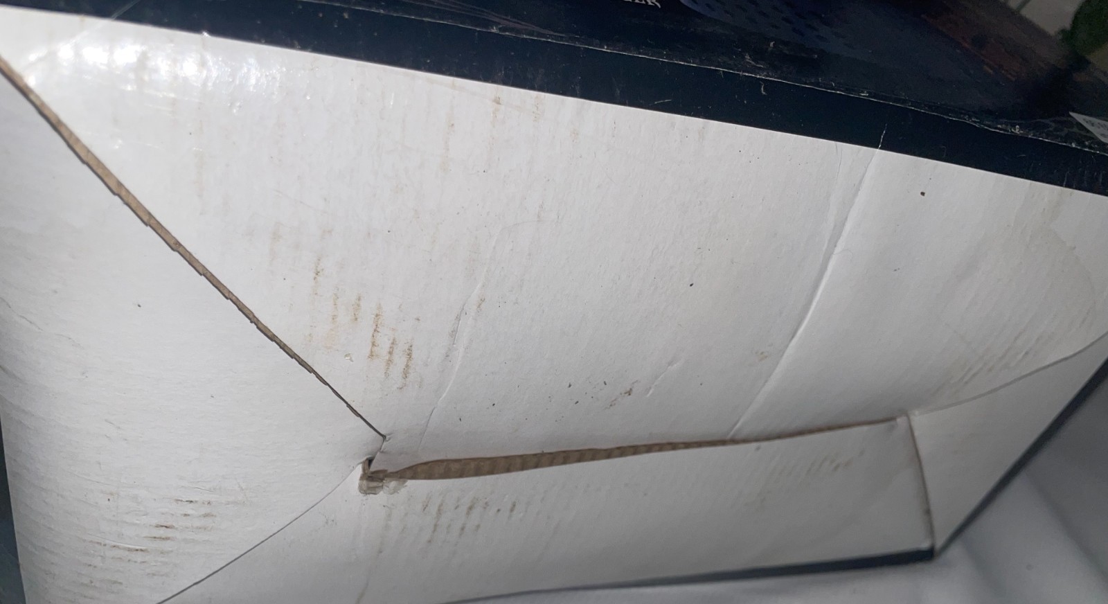 Spirit Halloween Bubble Fogger Works