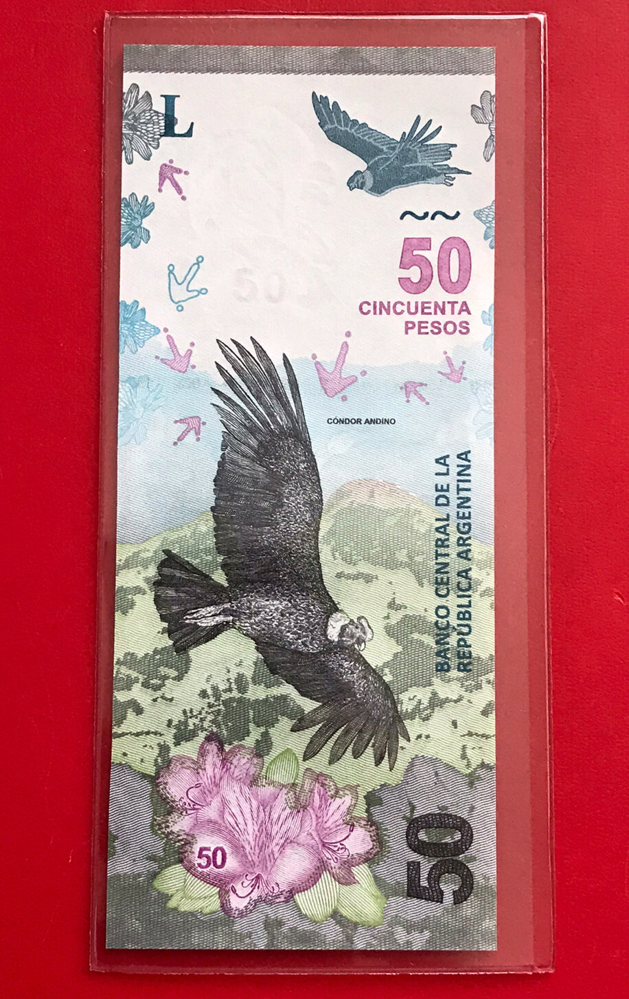 New Argentina, 50 Pesos CONDOR (2018-2020 ) P-363, B-Series ,Uncirculated