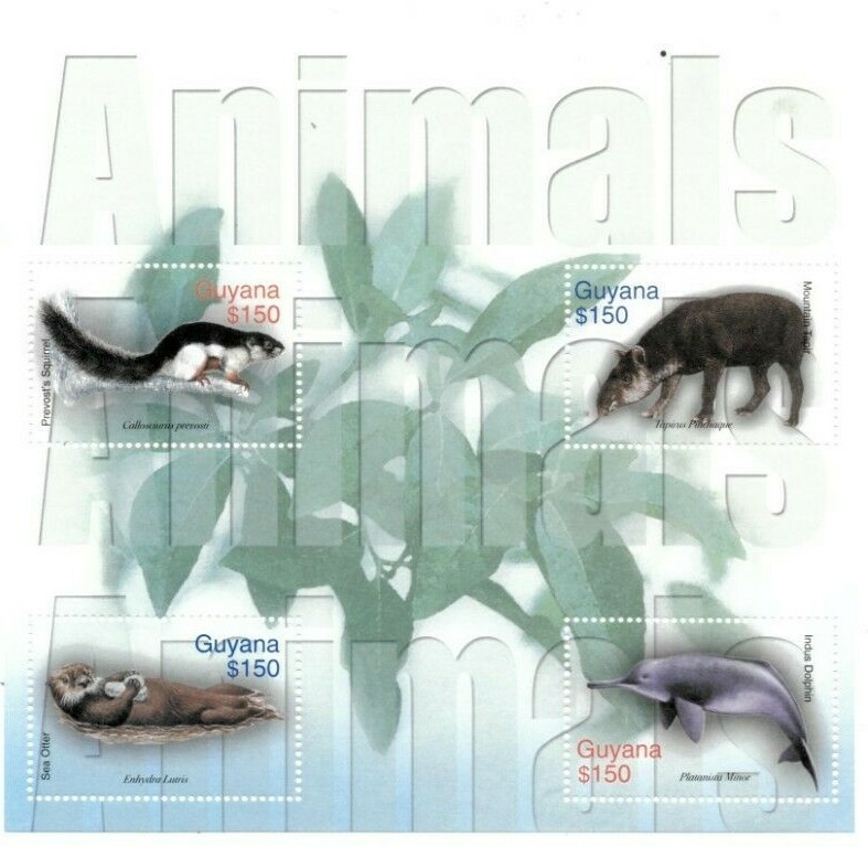 Guyana - 2003 - Animals - Dolphins - Sheet Of 4 stamps - MNH