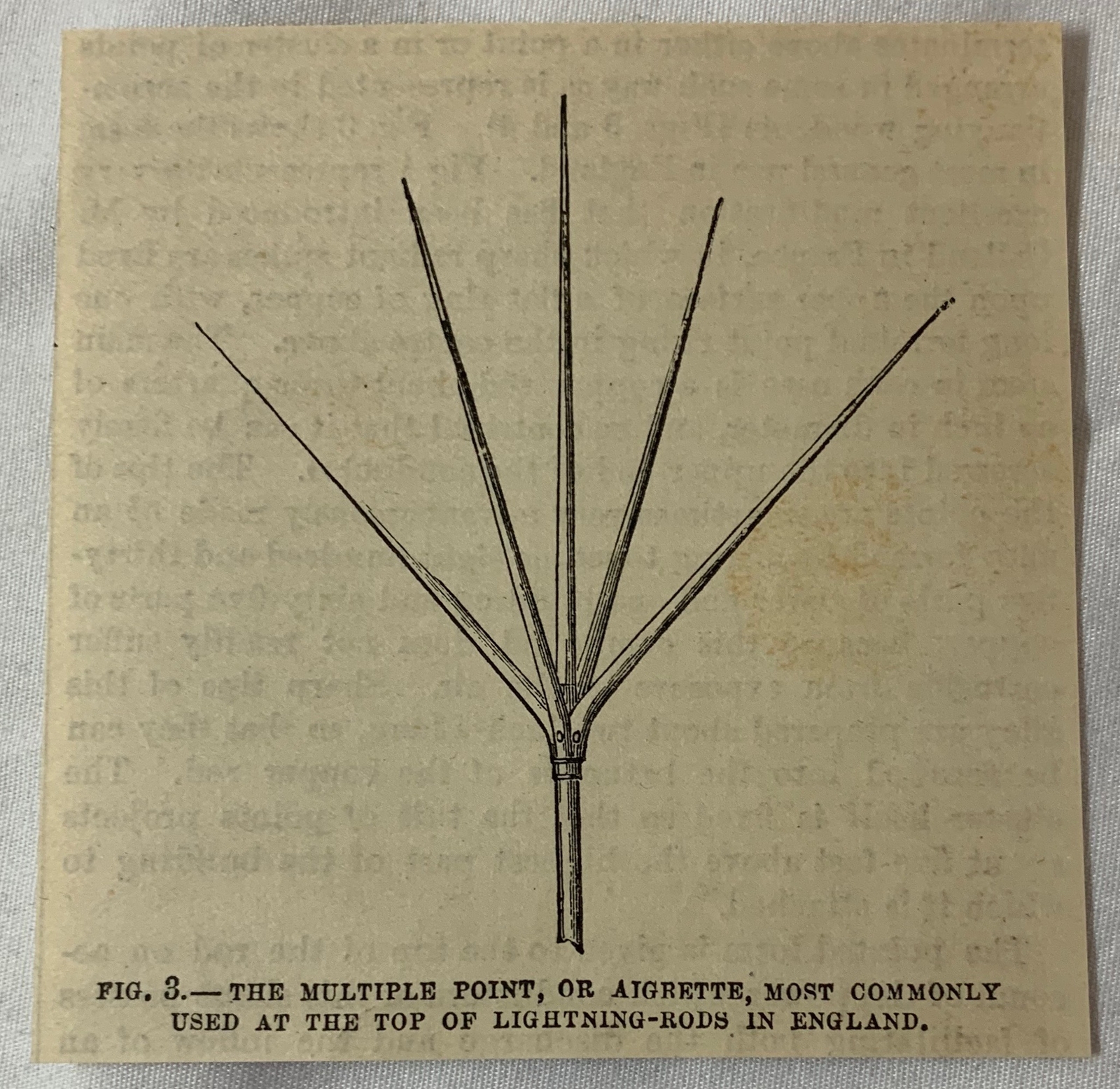 small 1882 magazine engraving~ AIGRETTE COMMON AT TOP OF LIGHTNING ROD England
