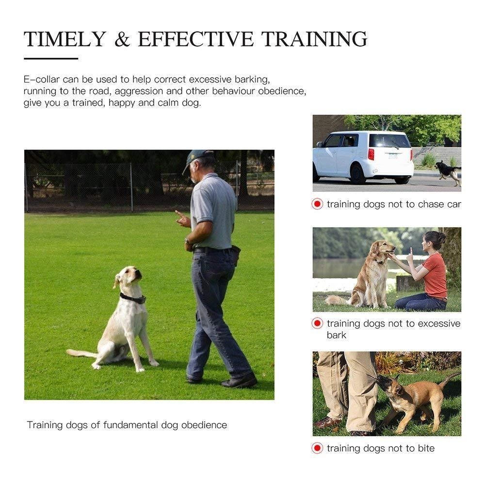 Dog Shock Training Collar Rechargeable Remote Control Waterproof IP67 875 Yards
