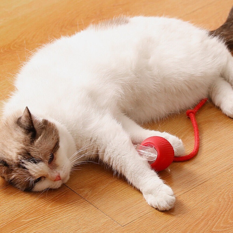 Automatic Rolling Ball Smart Cat Dog Toy Electric Pet Self-Moving Kitten (RED)