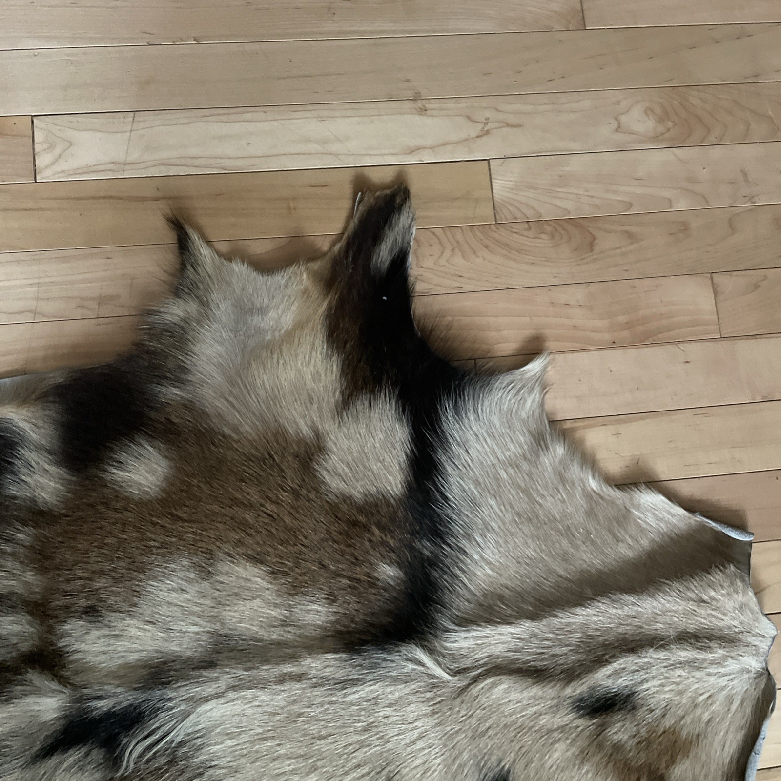 Real Goat Hide Skin Rug Multicolor 38” by 31”