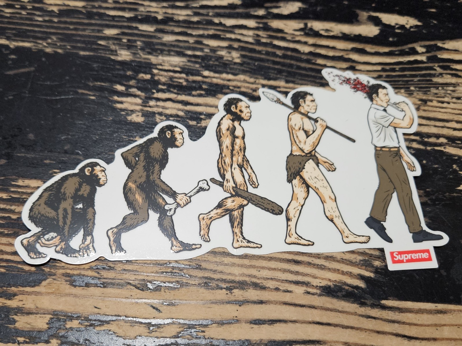 Supreme Evolution Sticker SS26 + FREE SURPRISE