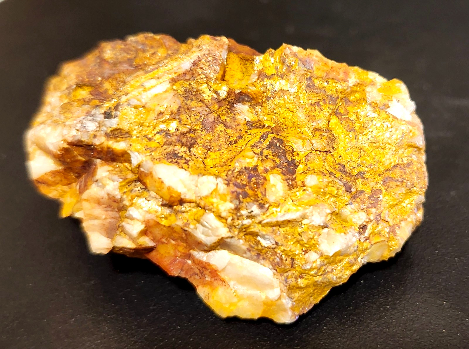 Gold Ore Specimen /Quality Visible Gold