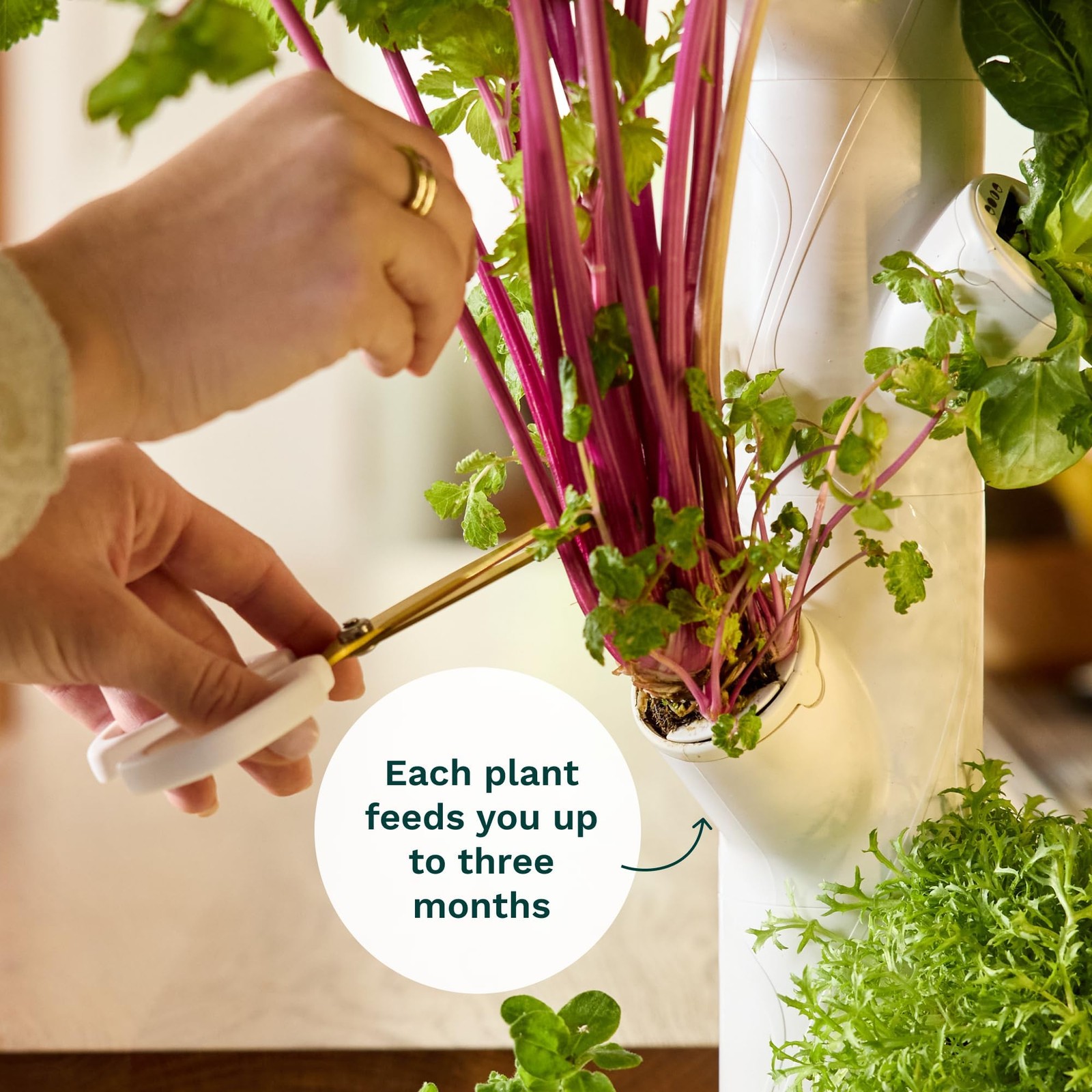 Gardyn Home 4 Vertical Hydroponics Growing GARDYN 4, 4