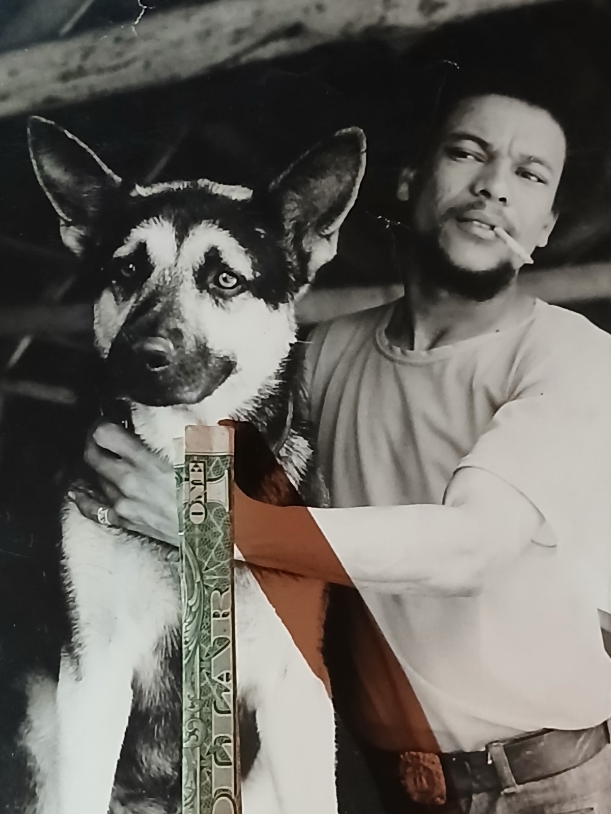 Antique African American * COLORED MAN BEST FRIENDS * CALVIN LITTLEJOHN *