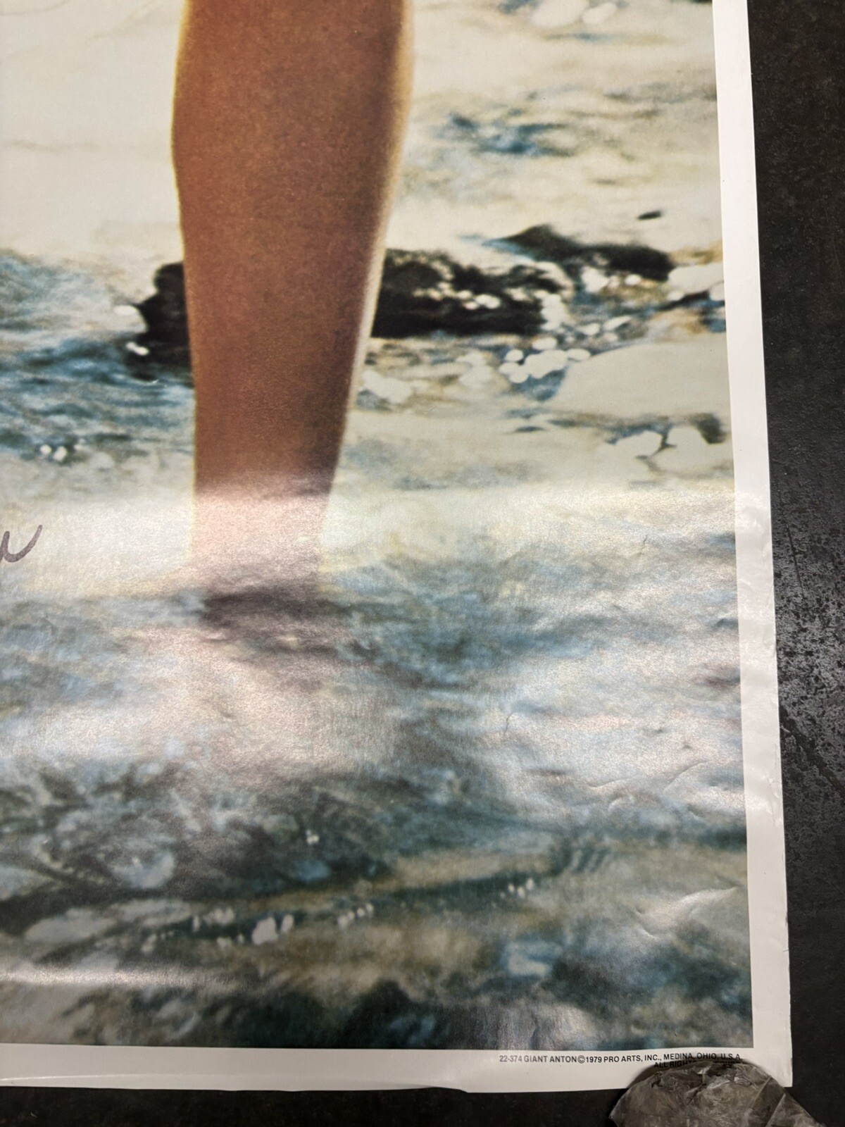 Giant Susan Anton 1979 Hot Girl large door vintage poster actress C2584