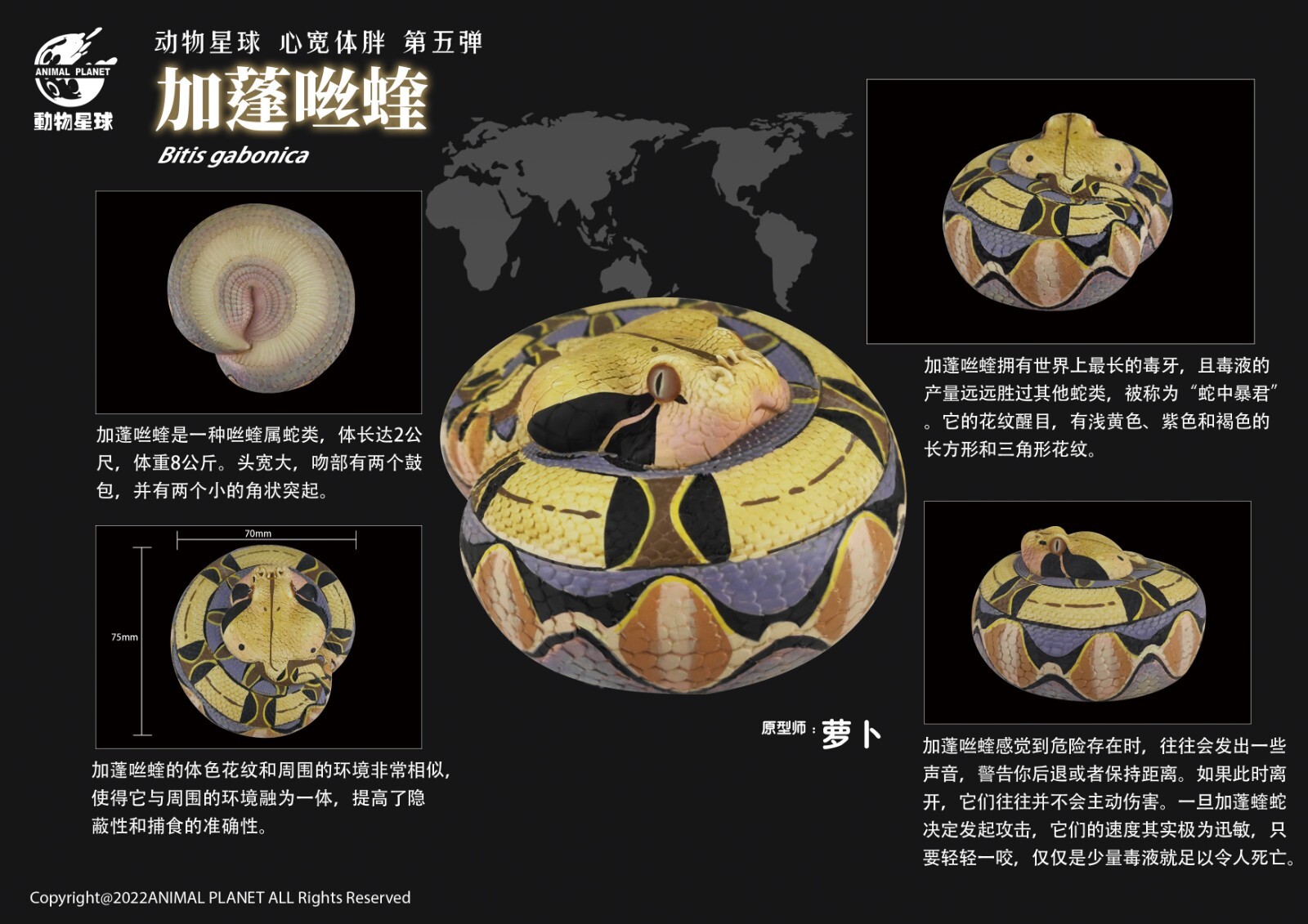 【In-Stock】 Animal Heavenly Body Gabonica Gaboon Viper Collectible Snake Statue