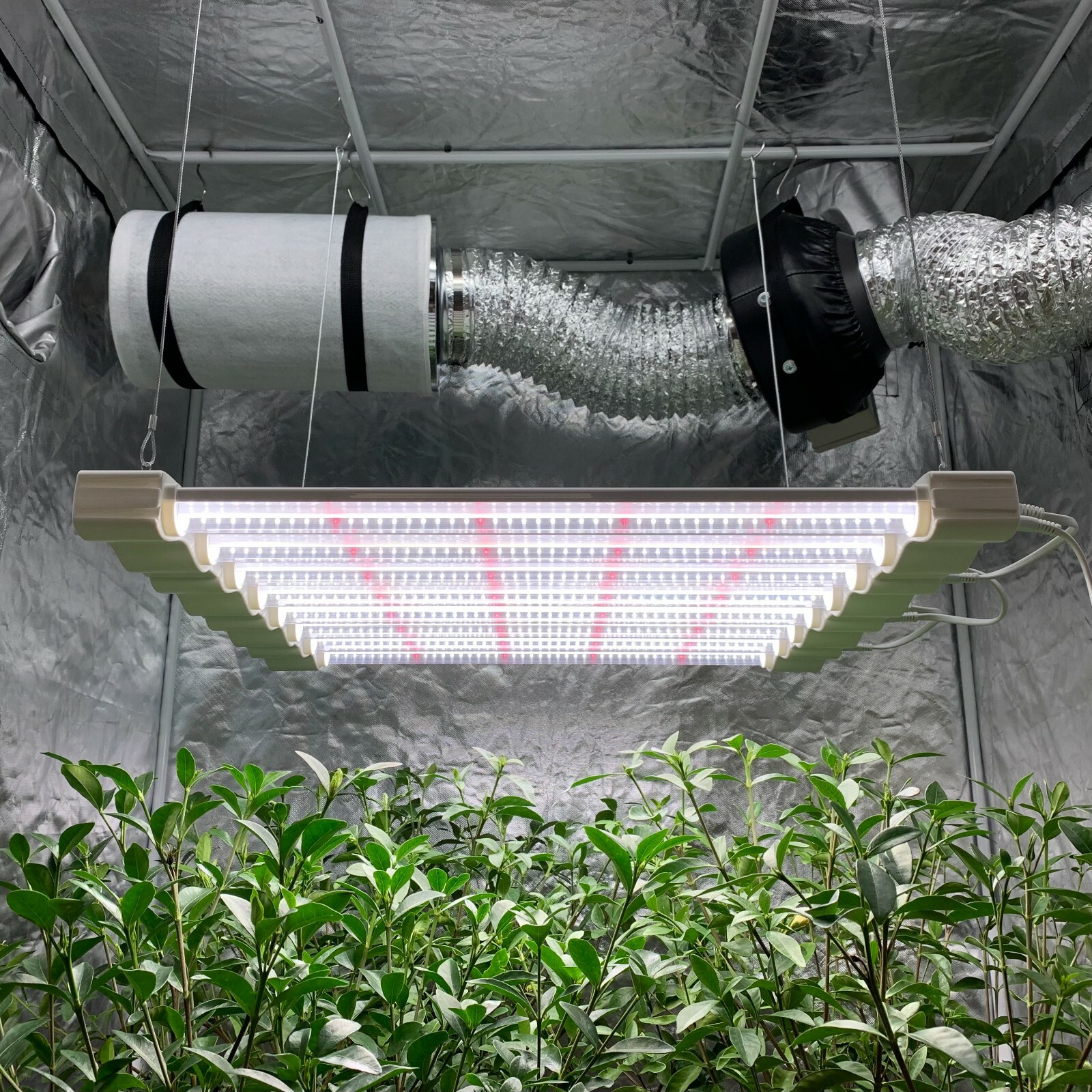 LED Grow Light Full Spectrum Linkable Seedling Veg Hydroponic Growing Lamp