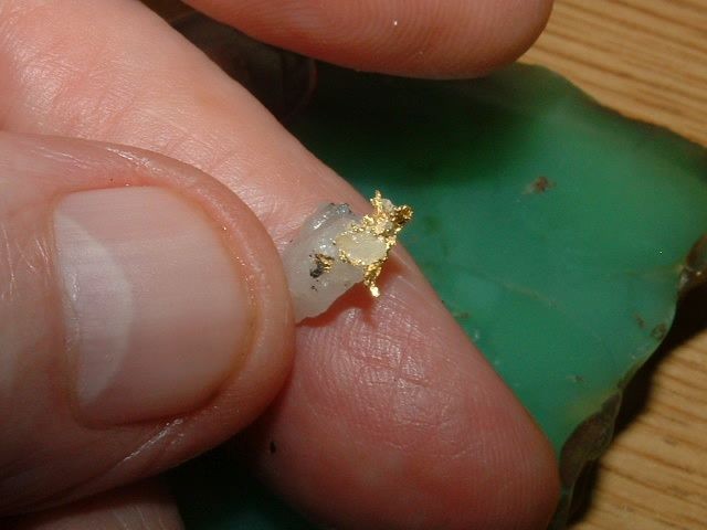 GOLD MATRIX SPECIMEN .47 GRAM CALIFORNIA GOLD IN QUARTZ