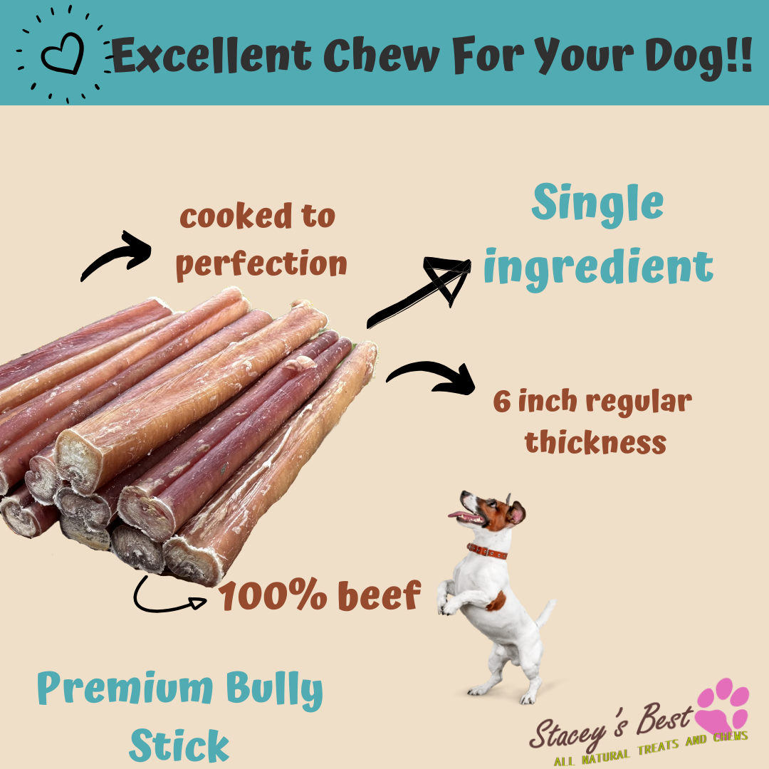 Stacey's Best 6 inch Bully Sticks Dog Chew Excellent Dog Treat (15 Pack)