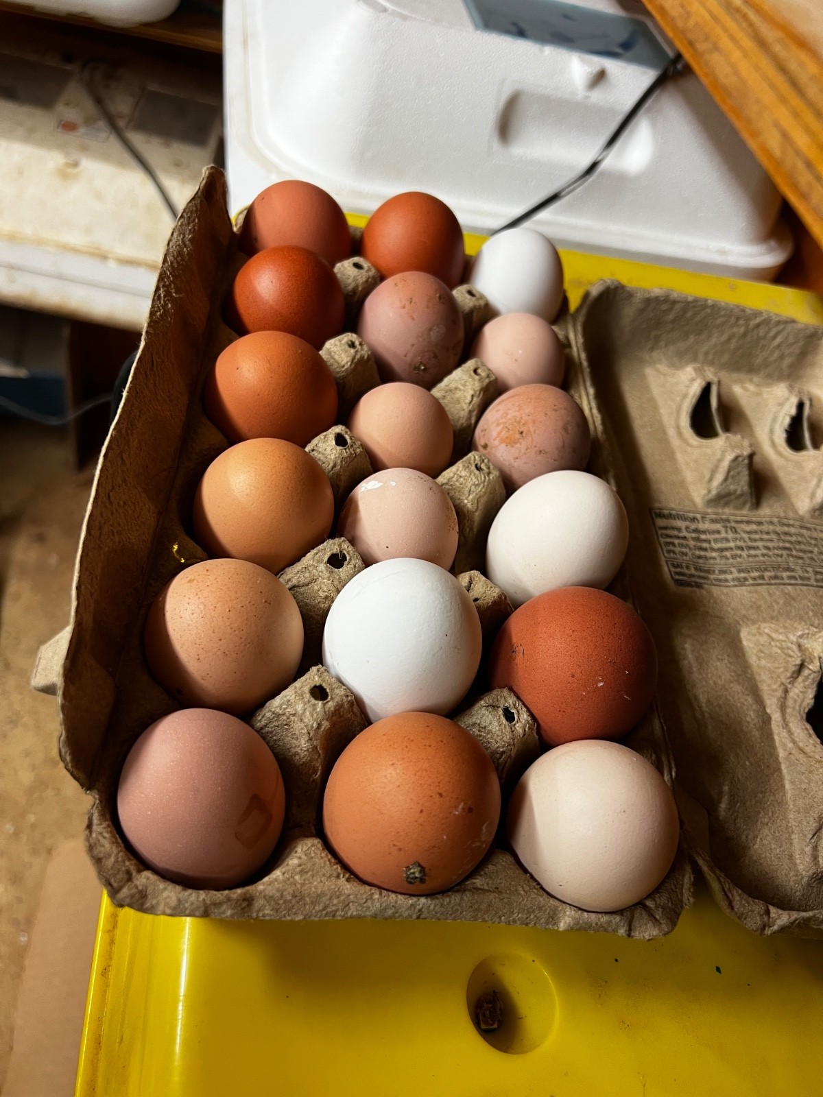 18 barnyard mix hatching eggs