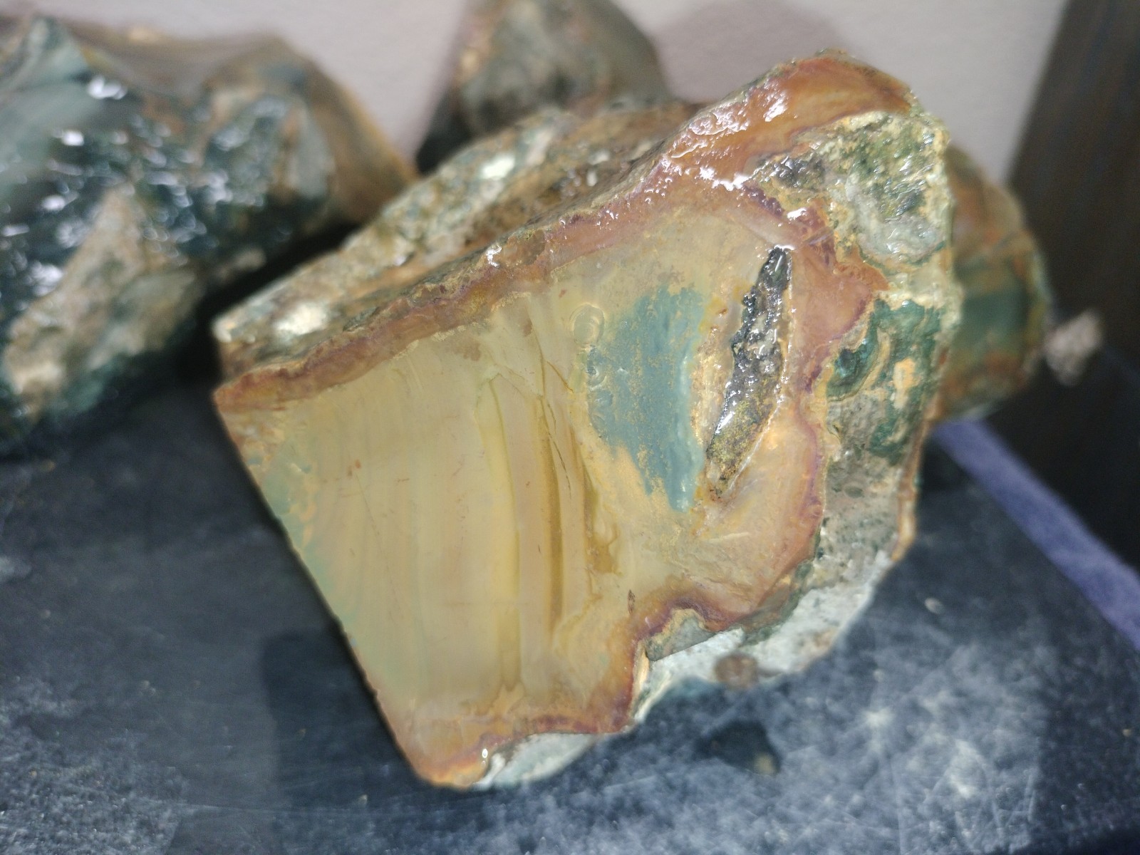 7.3LB ORBS Blue Mountain Picture Jasper Rough 6pc Lot #26