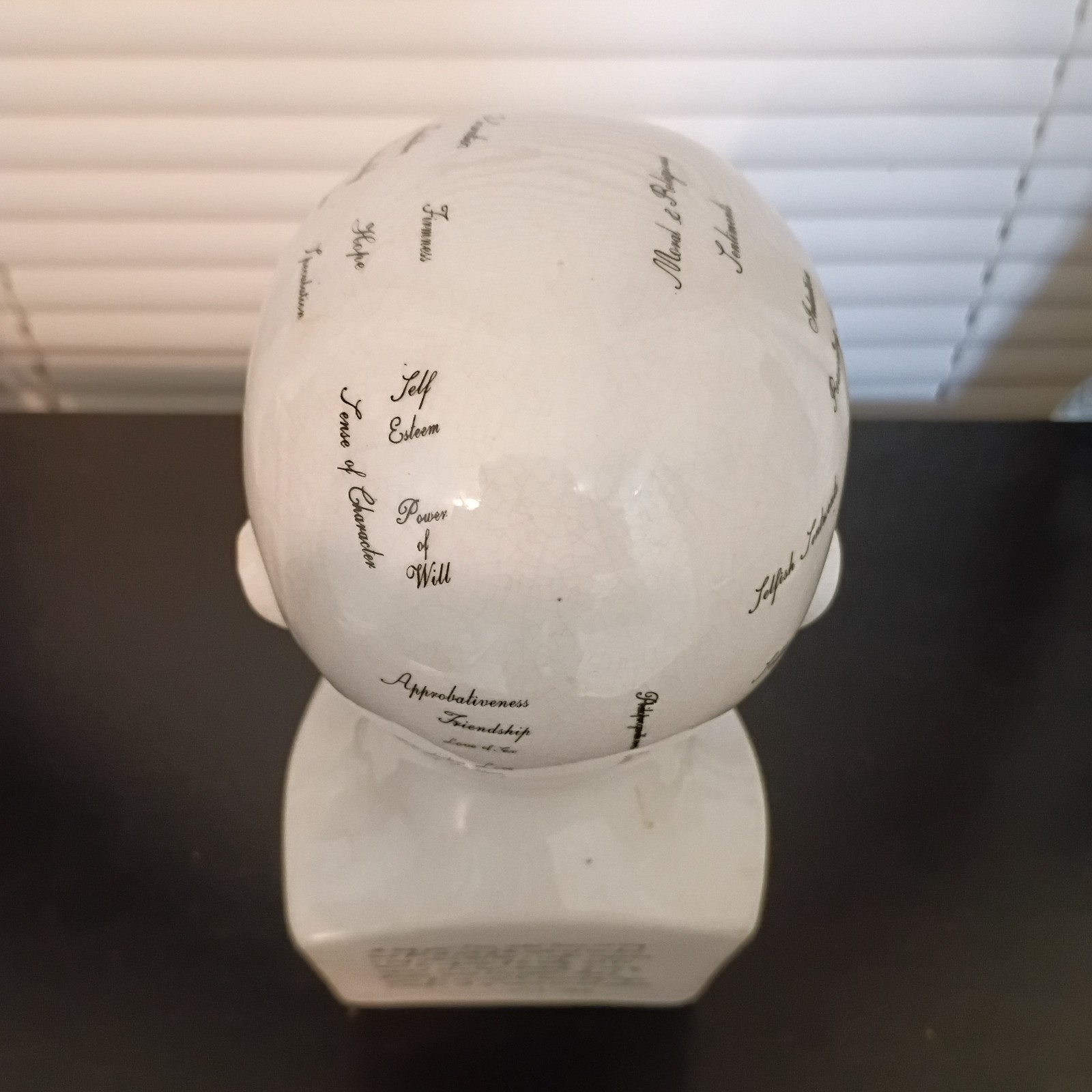 Porcelain L.N. Fowler Phrenology Scientific Psychology 8” Bust Head
