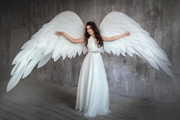 Angel Wings Costume Accessory Adult Halloween Fancy Dress