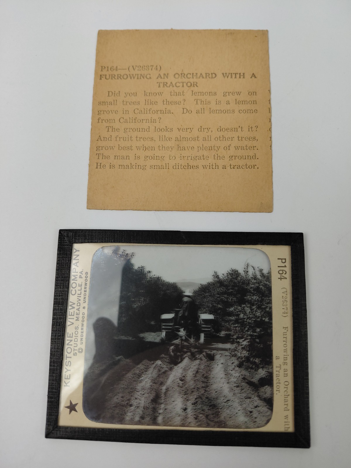 Magic Lantern Glass Slide Photo Keystone P164 Furrowing An Orchard w a Tractor
