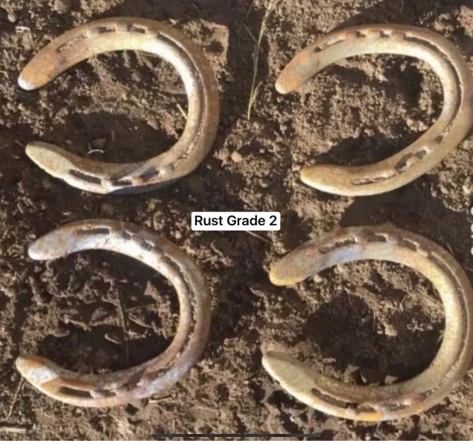 Horse Shoes, Ridden In The Rocky Mountains; Horse Shoe; Horseshoe; Horseshoes