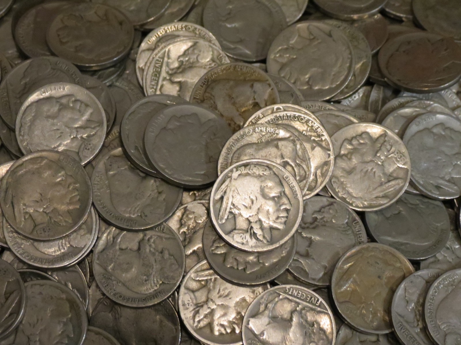 500 Buffalo Nickels Bulk Lot P Mint Only Part Date to Strong Part Date 5c Coins