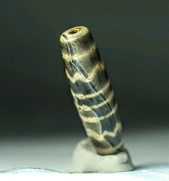 Pre-1800sbTibetan Opalized Petrified Palmwood 5 Line Water Wave Pum Dzi Bead