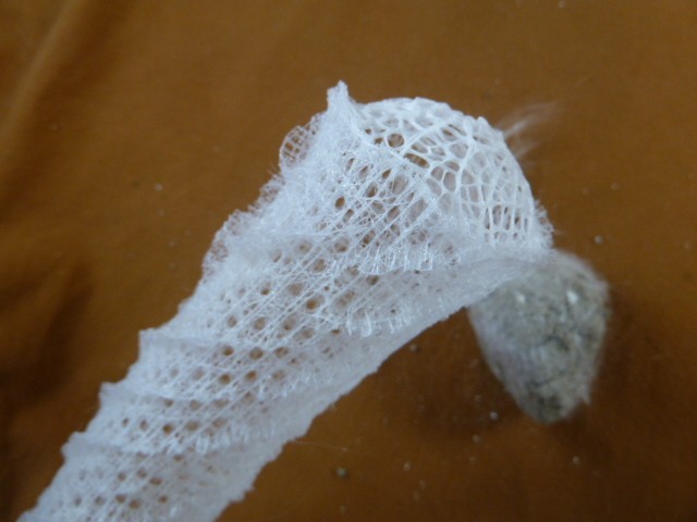 (W81-9) 12" natural VENUS GLASS SPONGE specimen FLOWER BASKET Weird Wedding gift