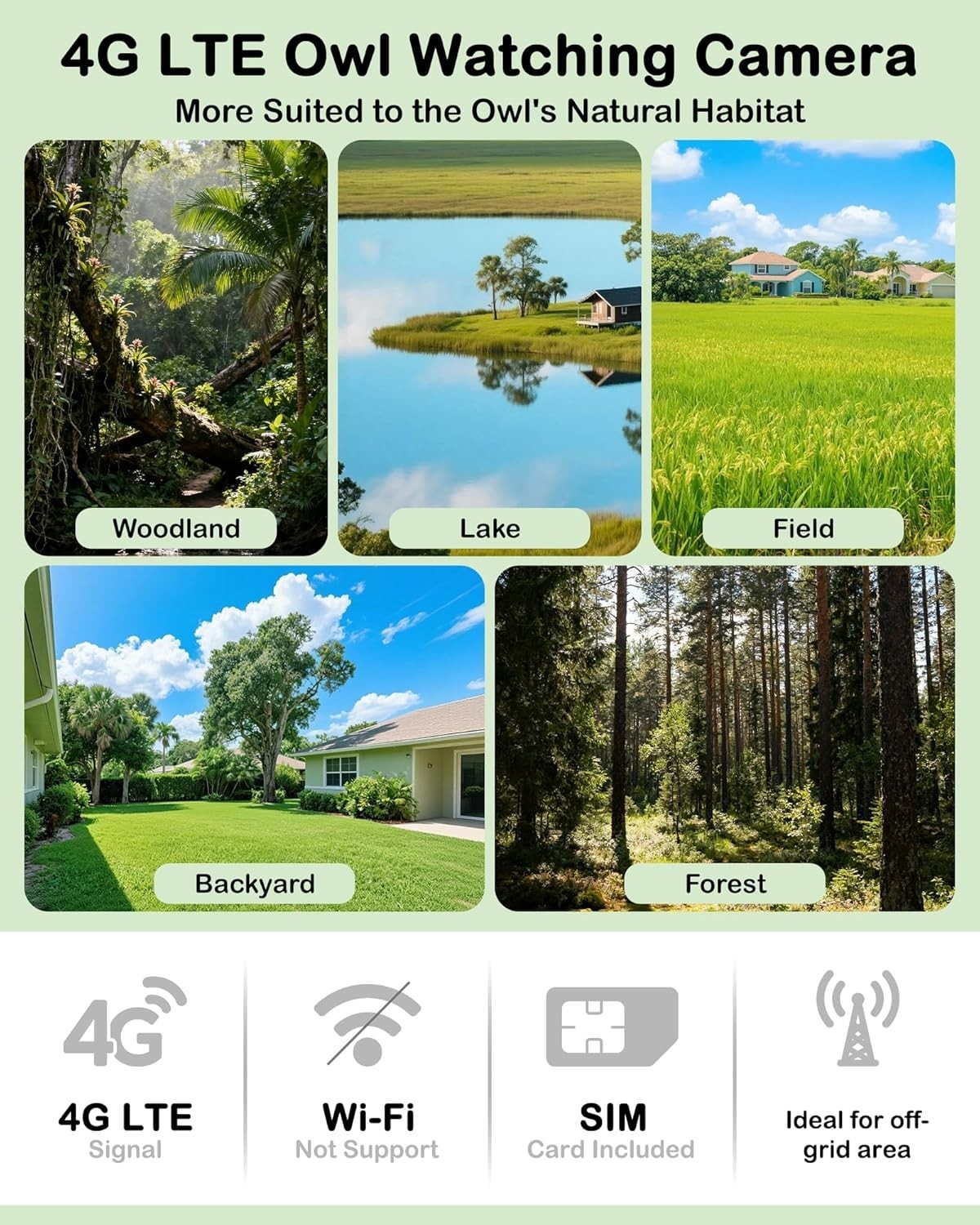 2K Owl Nesting Box Pine Wood 4G LTE Camera, Solar, Night Vision