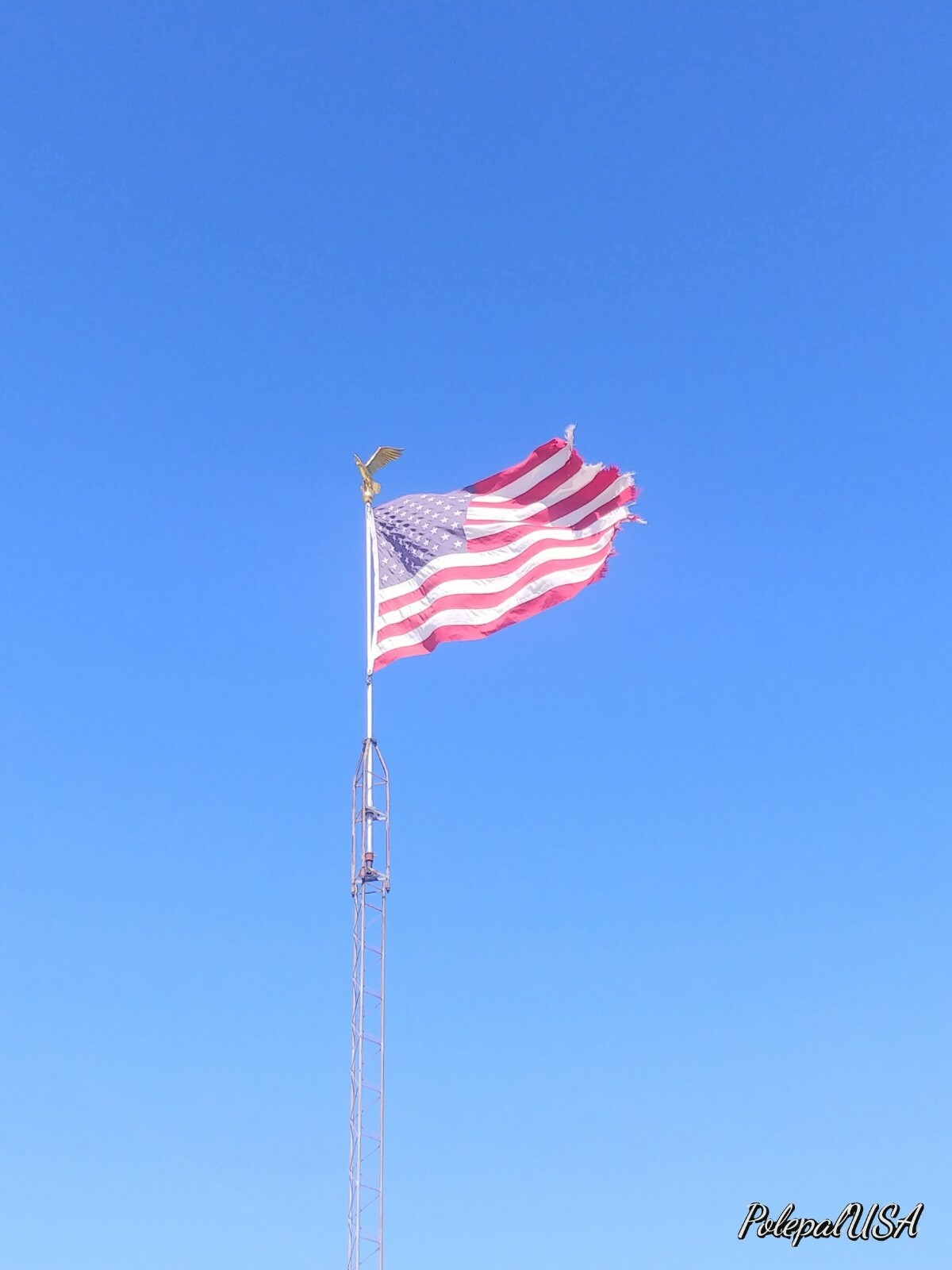 Flagpole Eagle Topper Decorative Gold Finial Globe Outdoor XX-Large 32 inch