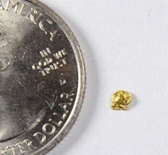 PURE GOLD NUGGET ALASKAN YUKON BC NATURAL SMALL ROCK AUTHENTIC RAW FINE 22k .06g