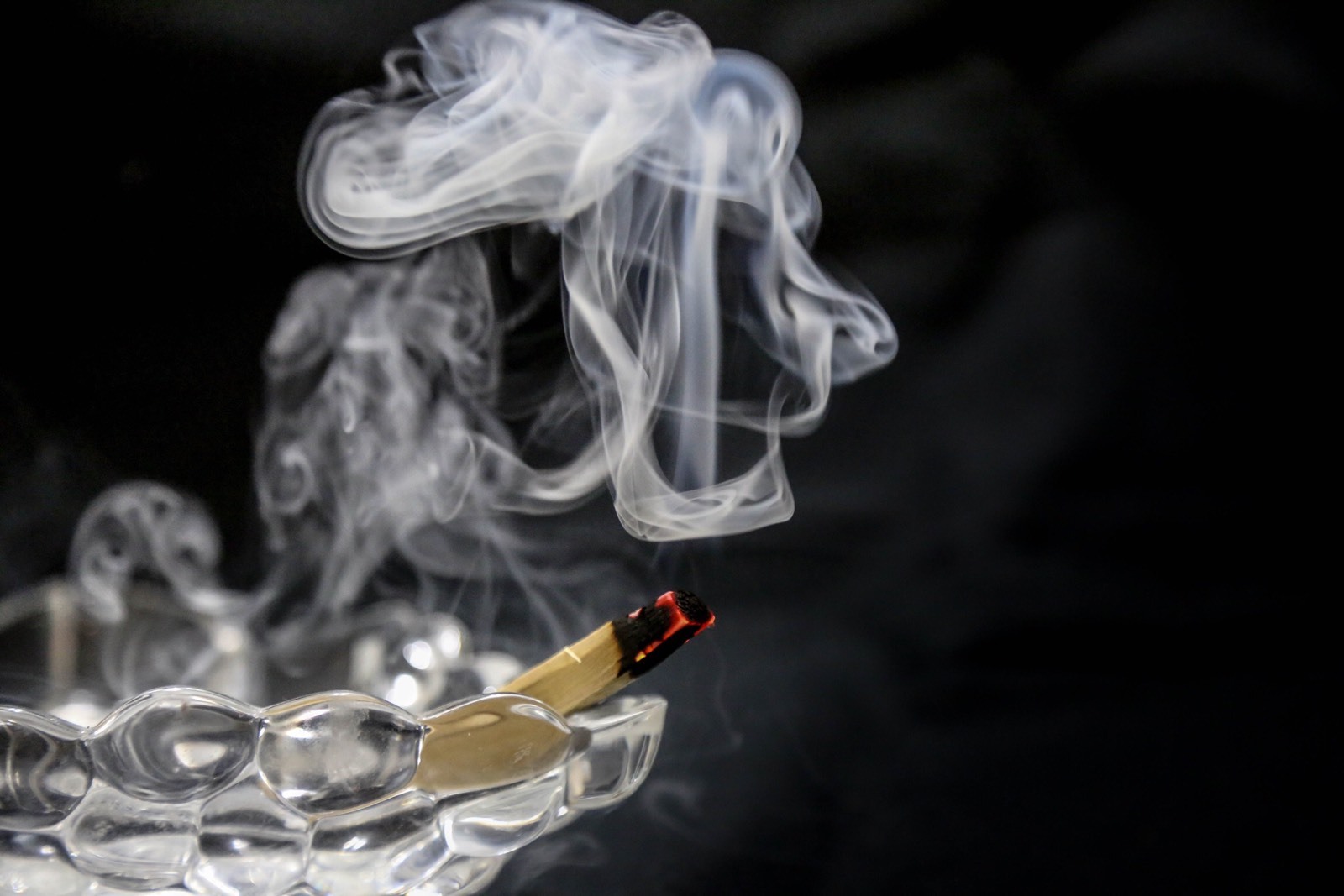 Palo Santo Incense 38 (STICKS APPROX) 1/2 lb SIZE BAG(4+inches long)