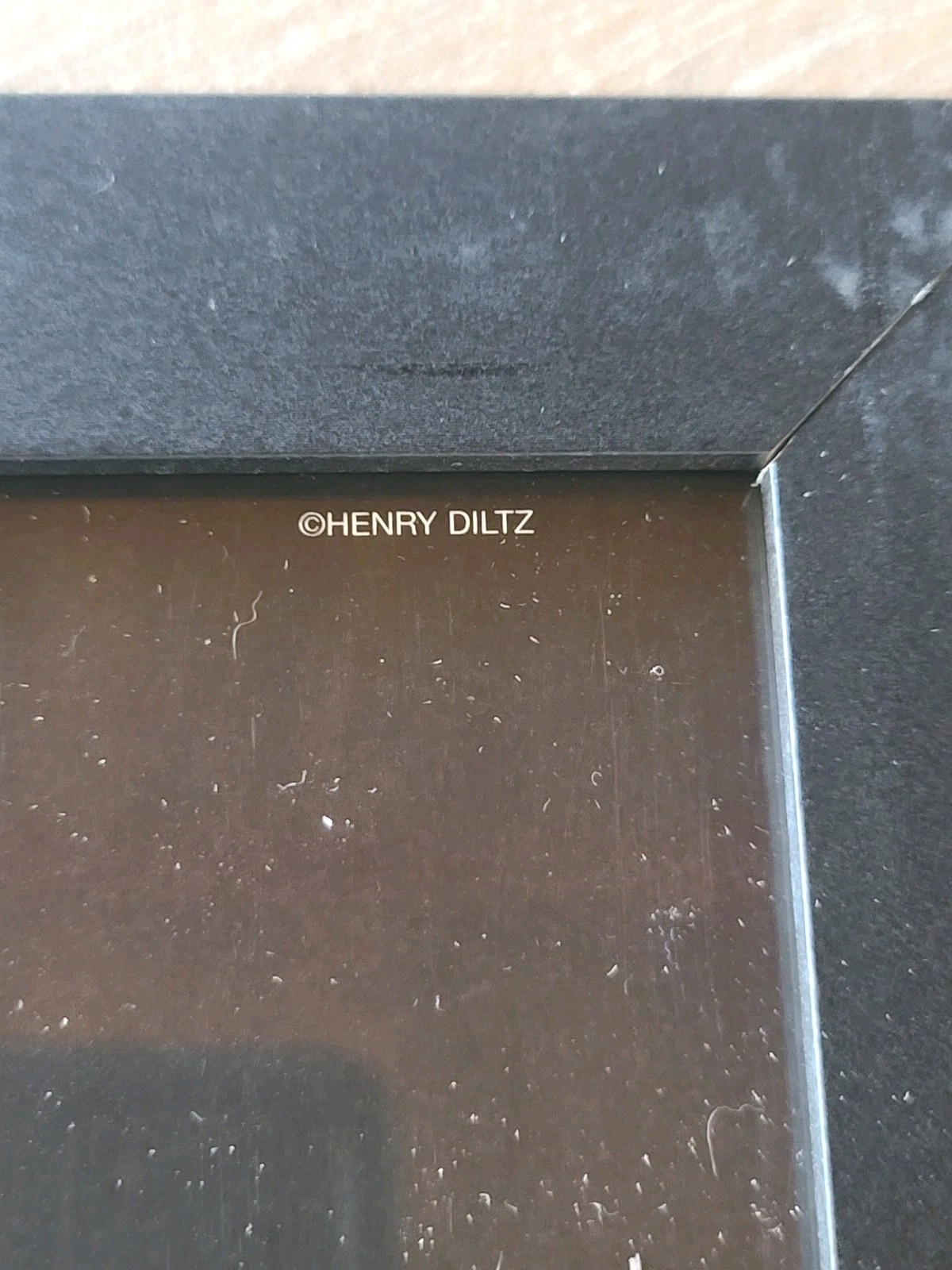 (2) Jimi Hendrix & Janis Joplin Posters! Authentic 2007 Henry Diltz Images! Rare